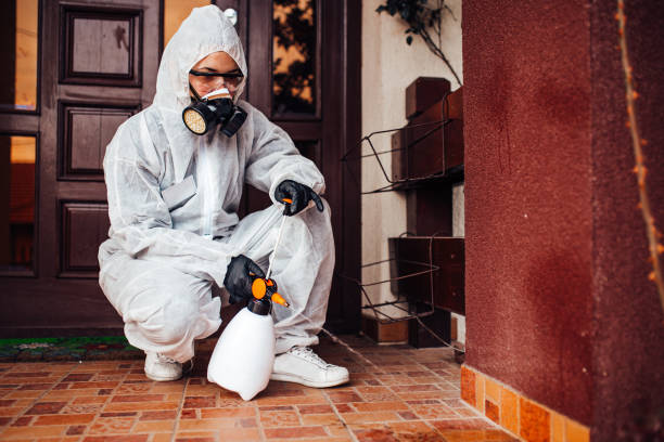 Reliable Bed Bug Control contractor in Memphis, TN by Nex Pest Control